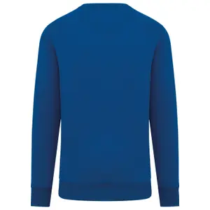 Sweatshirt Native Spirit image-1