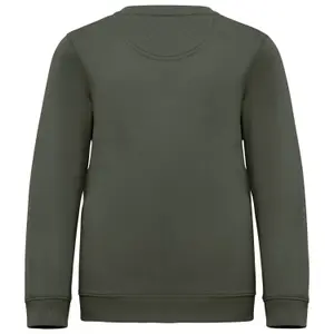 Eco-friendly round neck sweatshirt for kids Native Spirit image-1