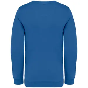 Eco-friendly round neck sweatshirt for kids Native Spirit image-1