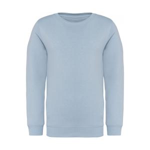 ns403-aquamarine-sweatshirt-for-barn-native-spirit-bla