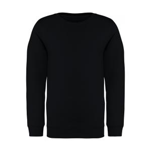 ns403-black-sweatshirt-for-barn-native-spirit-svart