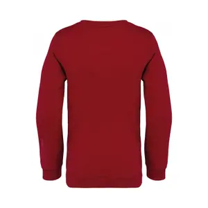 Native Spirit Kids Sweatshirt image-1