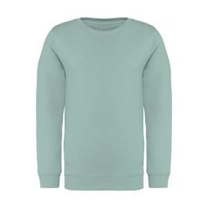 ns403-jadegreen-sweatshirt-for-barn-native-spirit-gron