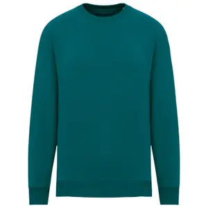 Sweatshirt ecológico de gola redonda oversize Native Spirit image-0