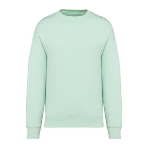 Oversize sweatshirt Native Spirit image-0