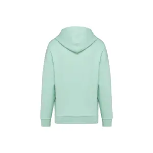 Eco-friendly oversized hoodie Native Spirit image-1