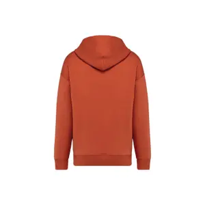 Eco-friendly oversized hoodie Native Spirit image-1