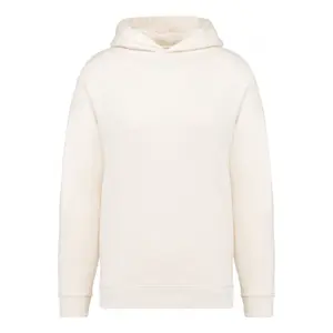 Oversized Hoodie Native Spirit image-0