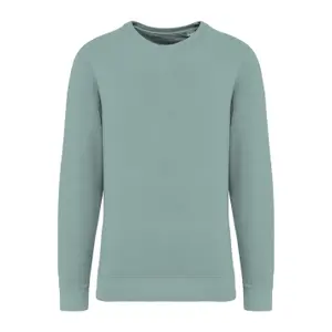 Sweatshirt Native Spirit Terry 280 image-0