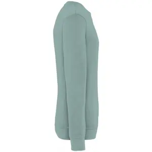 Sweatshirt Native Spirit Terry 280 image-2