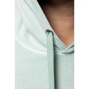 Camisola com capuz Native Spirit Terry 280 image-4