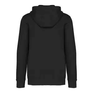 Zip-up hoodie Native Spirit Terry 280 image-2
