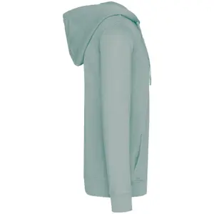 Zip-up hoodie Native Spirit Terry 280 image-1