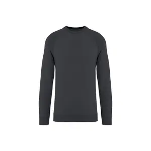 Sweatshirt col rond écoresponsable raglan Native Spirit French Terry image-0