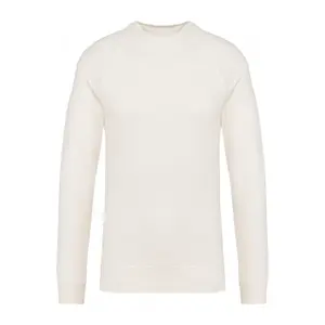 Sudadera de raglán Native Spirit image-0