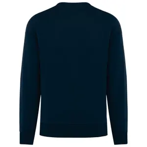 Eco-friendly oversized round neck sweatshirt Native Spirit image-1