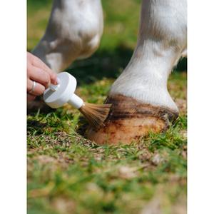 Oil for horse hoof Natural Innov Natural'Hoof image-2