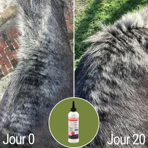 Anti-dermatite e loção para prurido Natural Innov Natural'Itch - 200 ml image-5