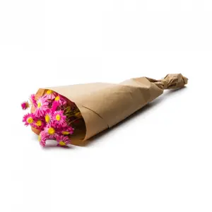 Bouquet di fiori Naturalys Acroclinium image-0