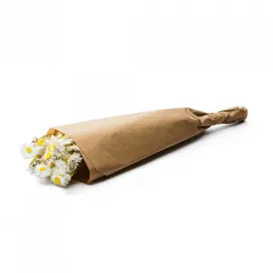 Bouquet di fiori Naturalys Acroclinium image-0