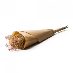 Blumensträuße Naturalys Gypsophila Dried image-0