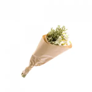 Bouquet di fiori Naturalys Mix image-0