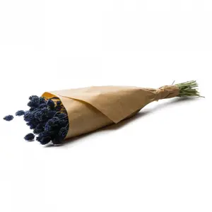Bouquet di fiori Naturalys Phalaris image-0