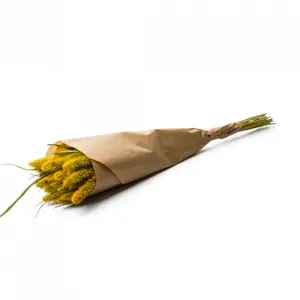 Bouquet di fiori Naturalys Setarea image-0