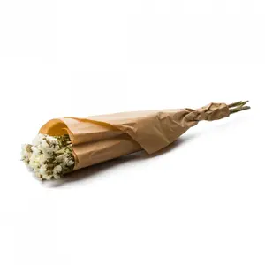 Bouquet di fiori Naturalys Statice image-0