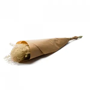 Bouquet di fiori Naturalys Fluffy Reed Grass image-0