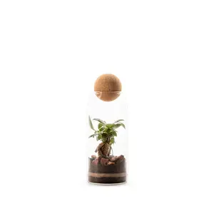 Vase Naturalys Niwa image-0