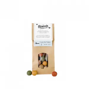Bombe di semi - sacchetto kraft - 10 palline Naturalys image-0
