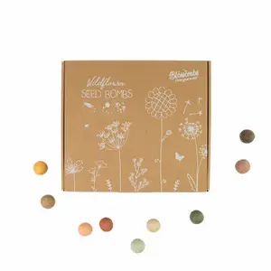 Seed bombs - boxed set - 9 balls Naturalys image-2