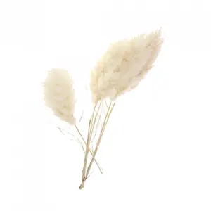 Set of 3 premium quality flower stems Naturalys Pampa image-0