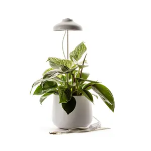 Gartenbaulampe Naturalys image-0