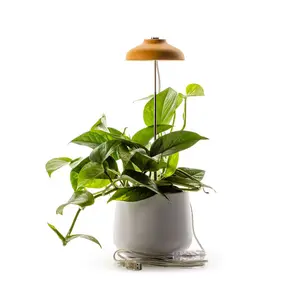 Horticultural lamp Naturalys image-0