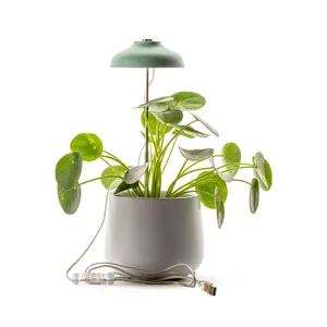 Lampada per orticoltura Naturalys image-0