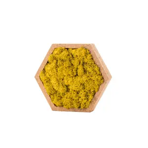 Hexagonal plant frame Naturalys Stab Lichen image-1