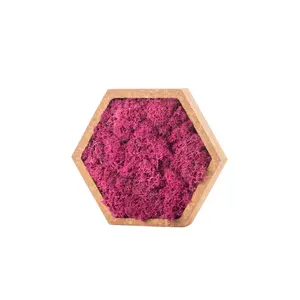 Telaio esagonale per piante Naturalys Stab Lichen image-1
