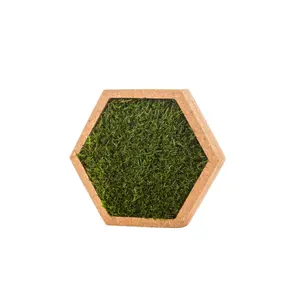 Sechseckiger Pflanzenrahmen Naturalys Stab Mousse image-1