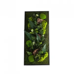 Rectangular plant frame Naturalys Stab Canope image-0
