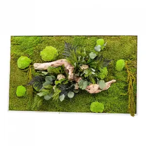 Rectangular plant frame Naturalys Stab Nature image-0
