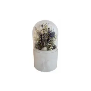 Dried flowers Naturalys image-0