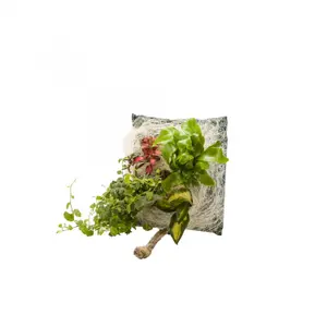 Borsa di coltivazione per telaio Naturalys Wall Flower Fidji image-0