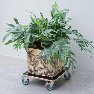 446407-square-plant-cart-nature-black-38x38-cm