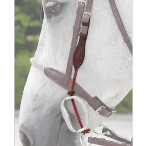 Lifter mounts Dy'on New English Collection image-1