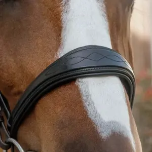 Anatomical horse noseband without a chin strap Dy'on image-1