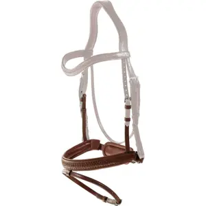 Bridle de equitación con muserola combinada y tirador. Dy'on Medium image-0