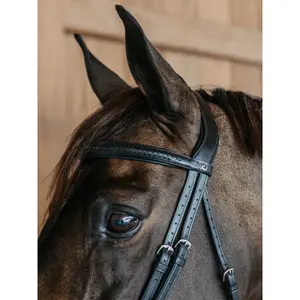 Braided combined noseband bridle Dy'on image-3