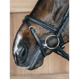 Braided combined noseband bridle Dy'on image-4